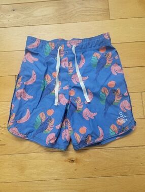 Kids' Seaesta Surf Boardshorts (Size: 22)